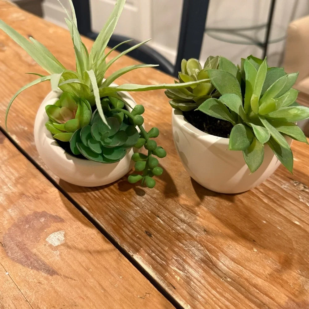 Ashland White Planters with Faux Green Succulents